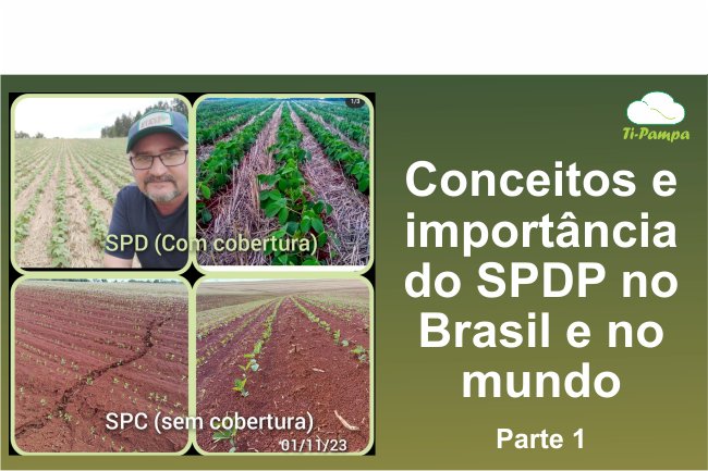Conceitos e Importância do SPDP no Brasil e no mundo - parte 1